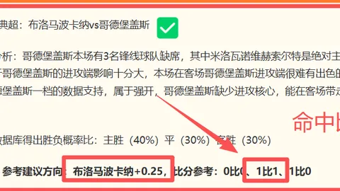 独家在线买球：南美杯专栏神单连中三篇王牌分析大放异彩